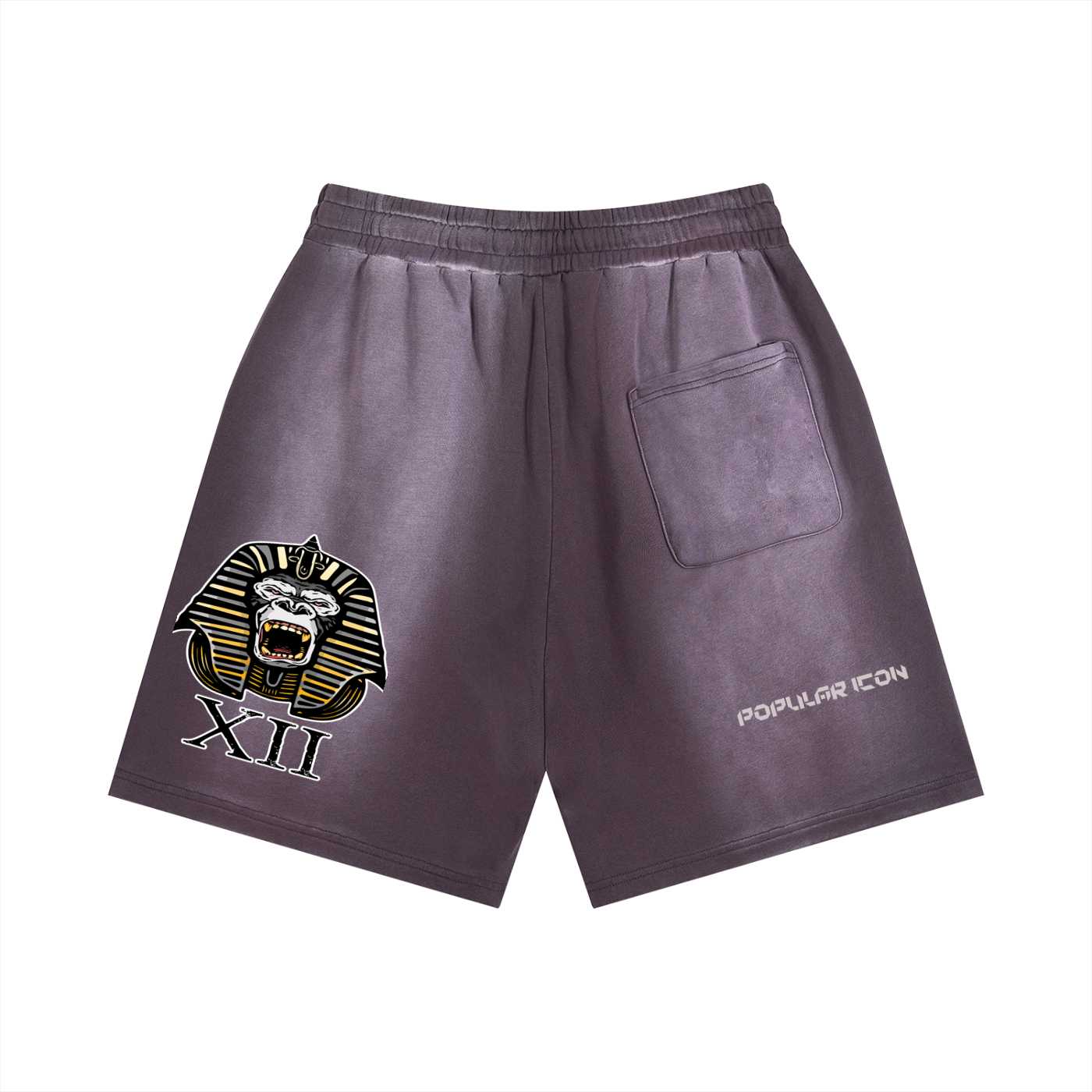 Popular Icon Sun Fade Distressed Shorts